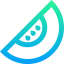 Melon icon 64x64