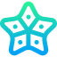 Starfish Ikona 64x64