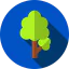 Дерево иконка 64x64