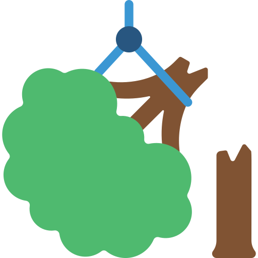 Tree recovery 상