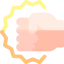 Fist Ikona 64x64