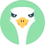 Ostrich icon 64x64