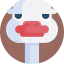 Ostrich 图标 64x64