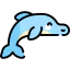 Dolphin アイコン 64x64