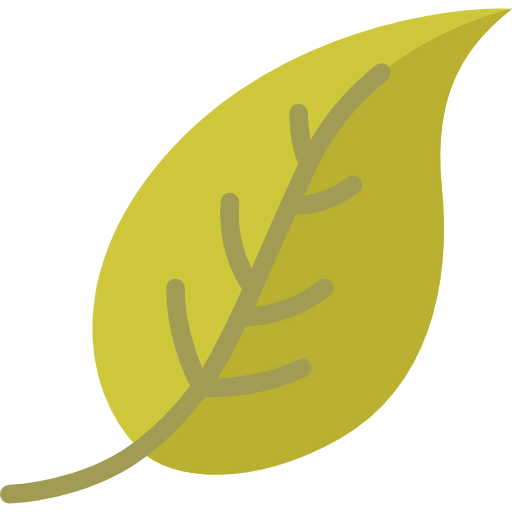 Leaf icon