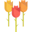 Flowers 图标 64x64