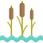 Reed 图标 64x64