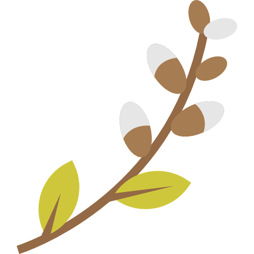 Branch icon