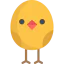 Chicken 图标 64x64