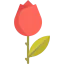 Flower 图标 64x64