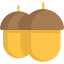 Acorn 图标 64x64
