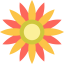 Sunflower 图标 64x64