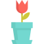 Flower 图标 64x64