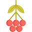 Rowan ícono 64x64