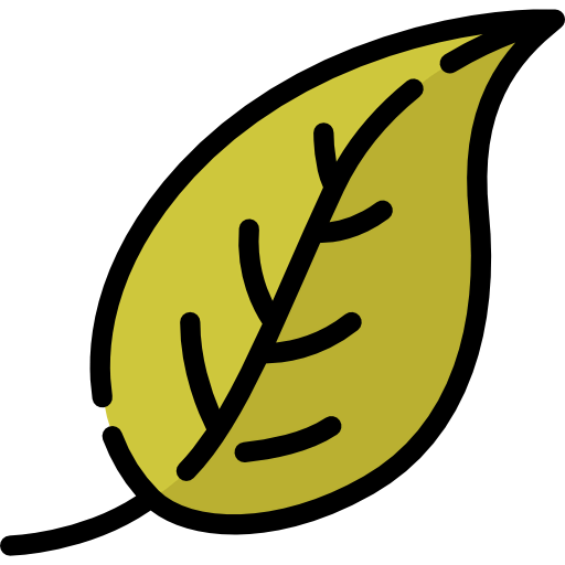 Leaf icon