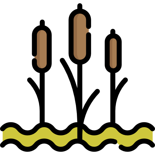 Reed icon