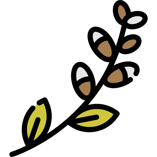 Branch icon