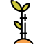 Sprout 图标 64x64