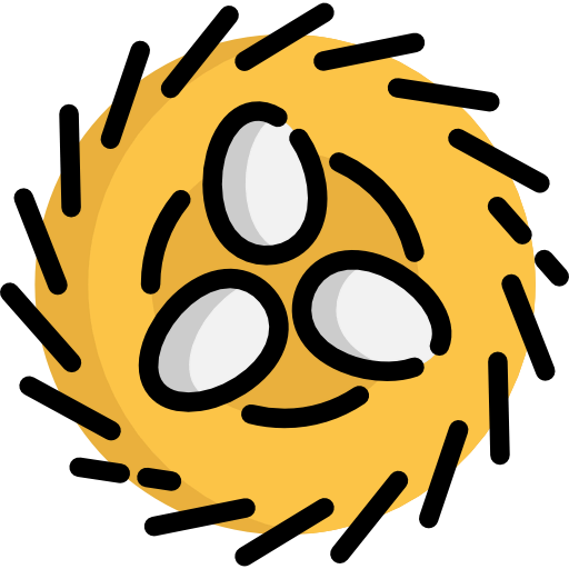 Nest 图标