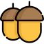 Acorn 图标 64x64