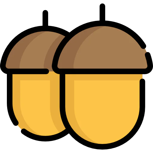 Acorn 图标
