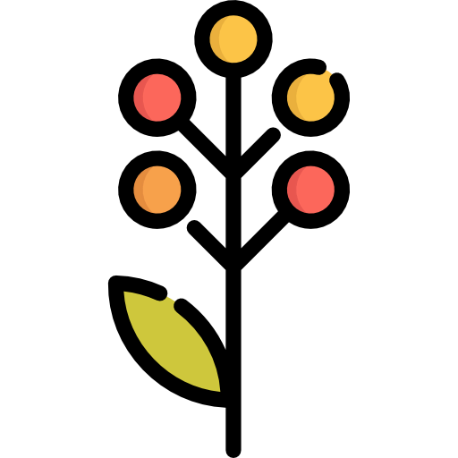 Branch icon