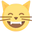 Cat 图标 64x64