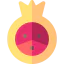 Pomegranate Symbol 64x64