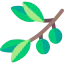 Olive icon 64x64