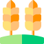 Wheat 图标 64x64