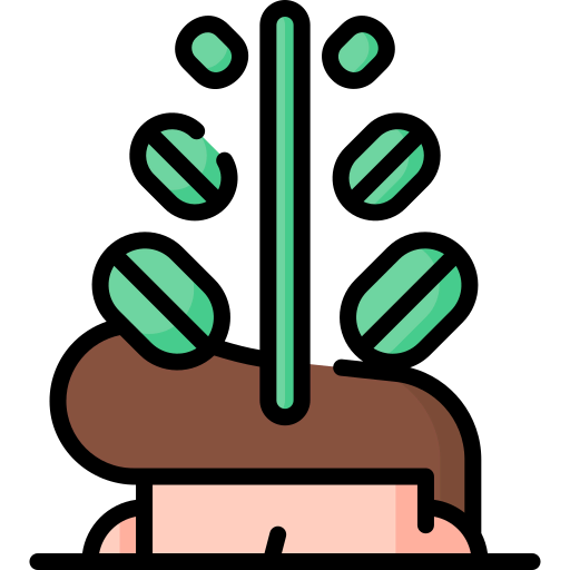 Mindset icon