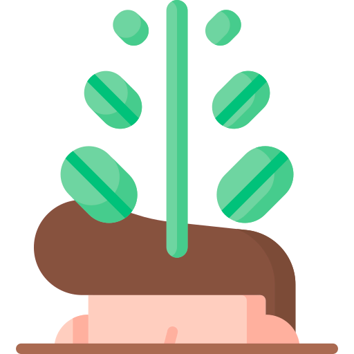 Mindset icon