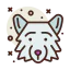 Wolf icône 64x64