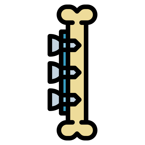 Bone icon