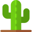 Cactus icon 64x64