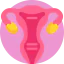 Uterus іконка 64x64