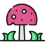 Mushroom アイコン 64x64