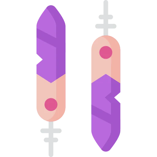 Feathers icon