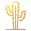 Cactus icône 64x64