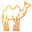 Camel ícono 64x64