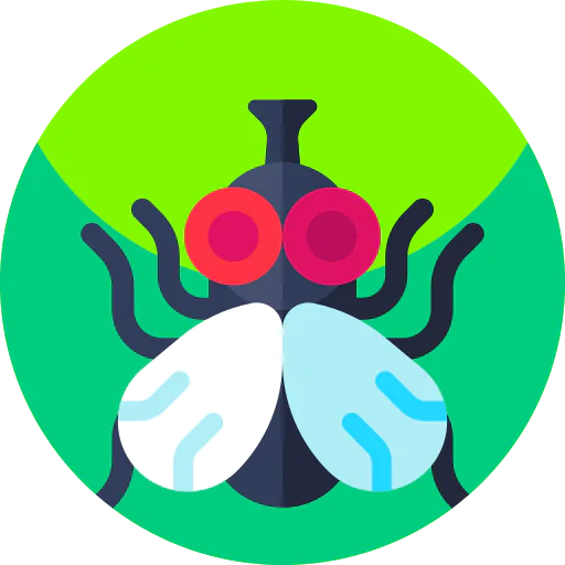Fly icon