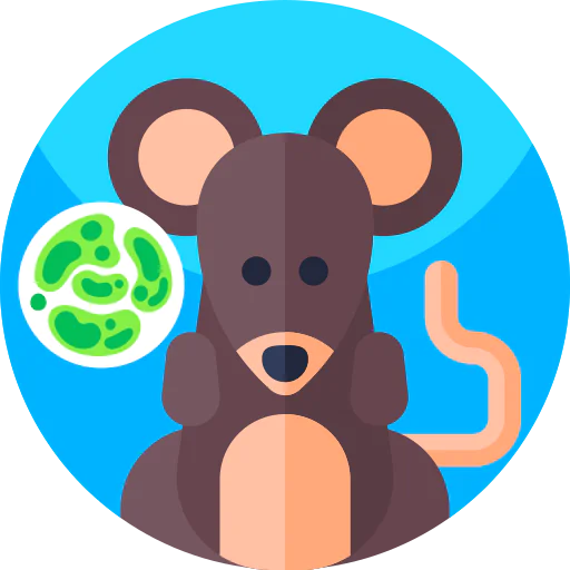 Mouse icon
