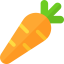 Carrot biểu tượng 64x64