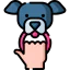 Play with pet icon 64x64