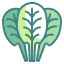 Spinach ícono 64x64
