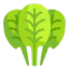 Spinach ícono 64x64