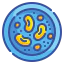 Bean ícono 64x64