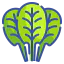 Spinach icon 64x64