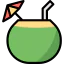 Coconut ícono 64x64