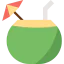 Coconut icon 64x64